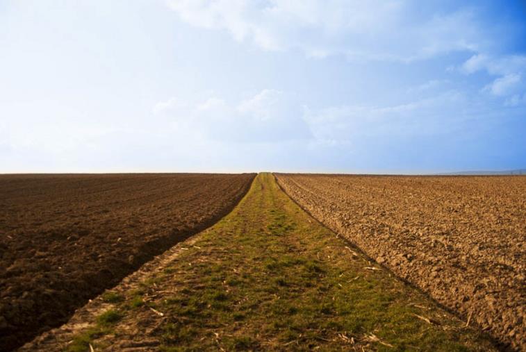 La Calabria è la terza regione europea per terreni con coltivazioni bio