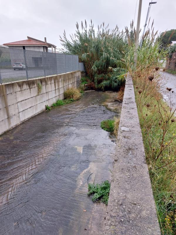images Catanzaro, Costanzo: "Urge intervento di manutenzione sul canale che costeggia traversa Cassiodoro"