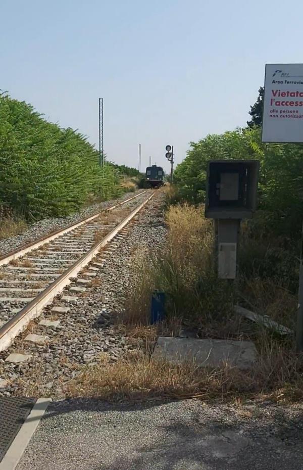 images Paura a Sellia Marina: a Ruggero il treno passa con le sbarre alzate (FOTO)