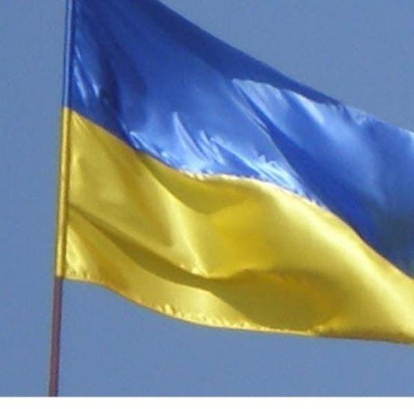 images L'associazione Amore Universale di Catanzaro: "Raccogliamo beni di prima necessità per gli ucraini" 