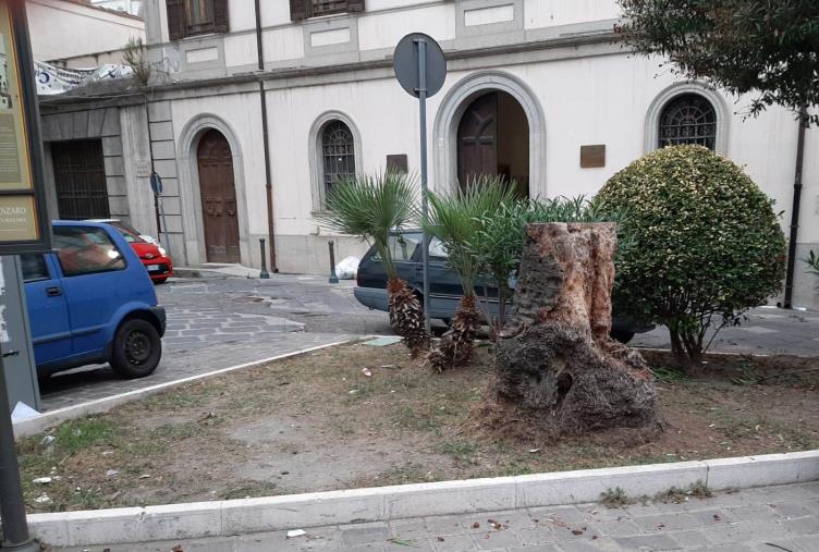 images Catanzaro. Pisano: "Il restyling del centro storico non basta: Longo e Cavallaro non hanno più attenuanti" (FOTO)