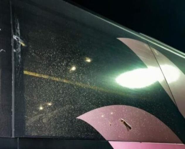 images Autobus del Palermo danneggiato a Catanzaro, individuati i 2 responsabili: i dirigenti rosa-nero hanno fornito l'identikit