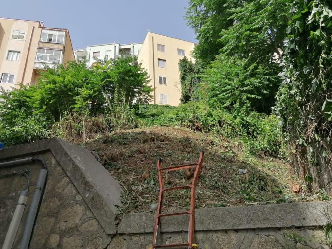 images Catanzaro. Completate le operazioni di diserbo e decespugliamento in via Cilea