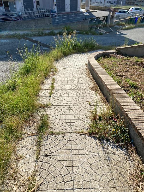 images Decoro urbano. Stefano Veraldi: "In via Fares la parola d’ordine è sopravvivere alla sporcizia e all’incuria"