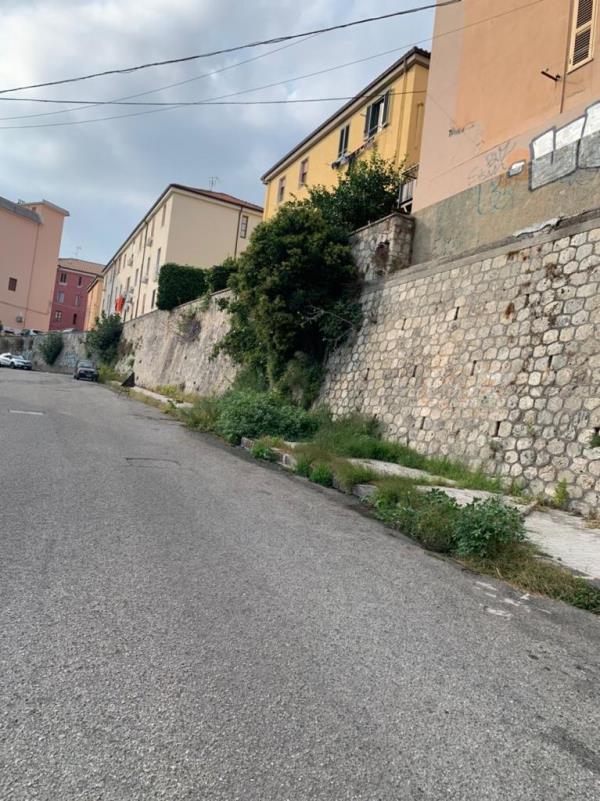 images Degrado in via Stretto Cappuccini a Catanzaro. Collevento incontra l'assessore Cavallaro: "A breve la bonifica"