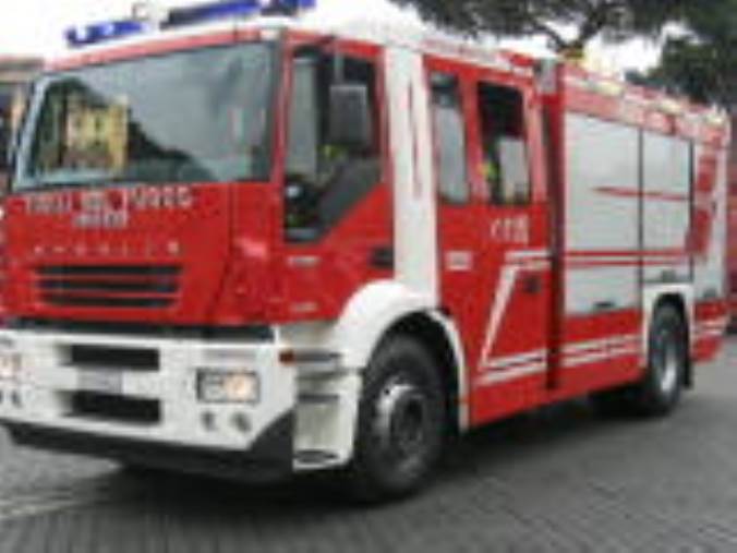 images Cavallo scivola nella scarpata di Pietragrande: vigili del fuoco in soccorso