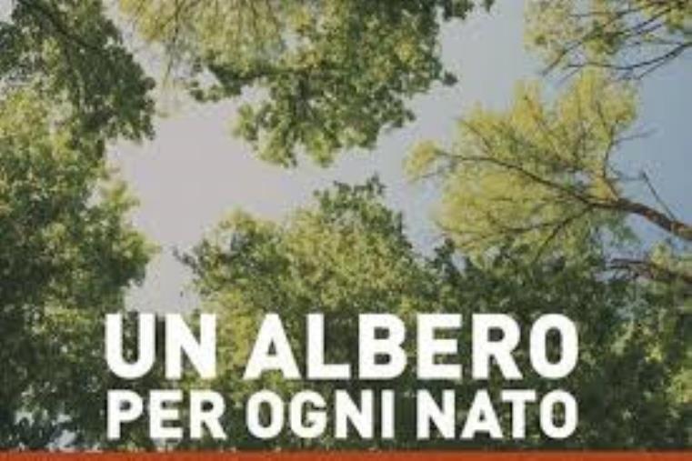 Anche a Girifalco un albero della vita per ogni nuovo nato